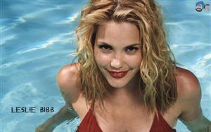 Leslie Bibb